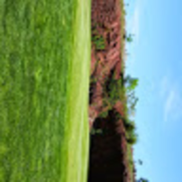 Meet your Posher, Todd - Picture 1 of 1